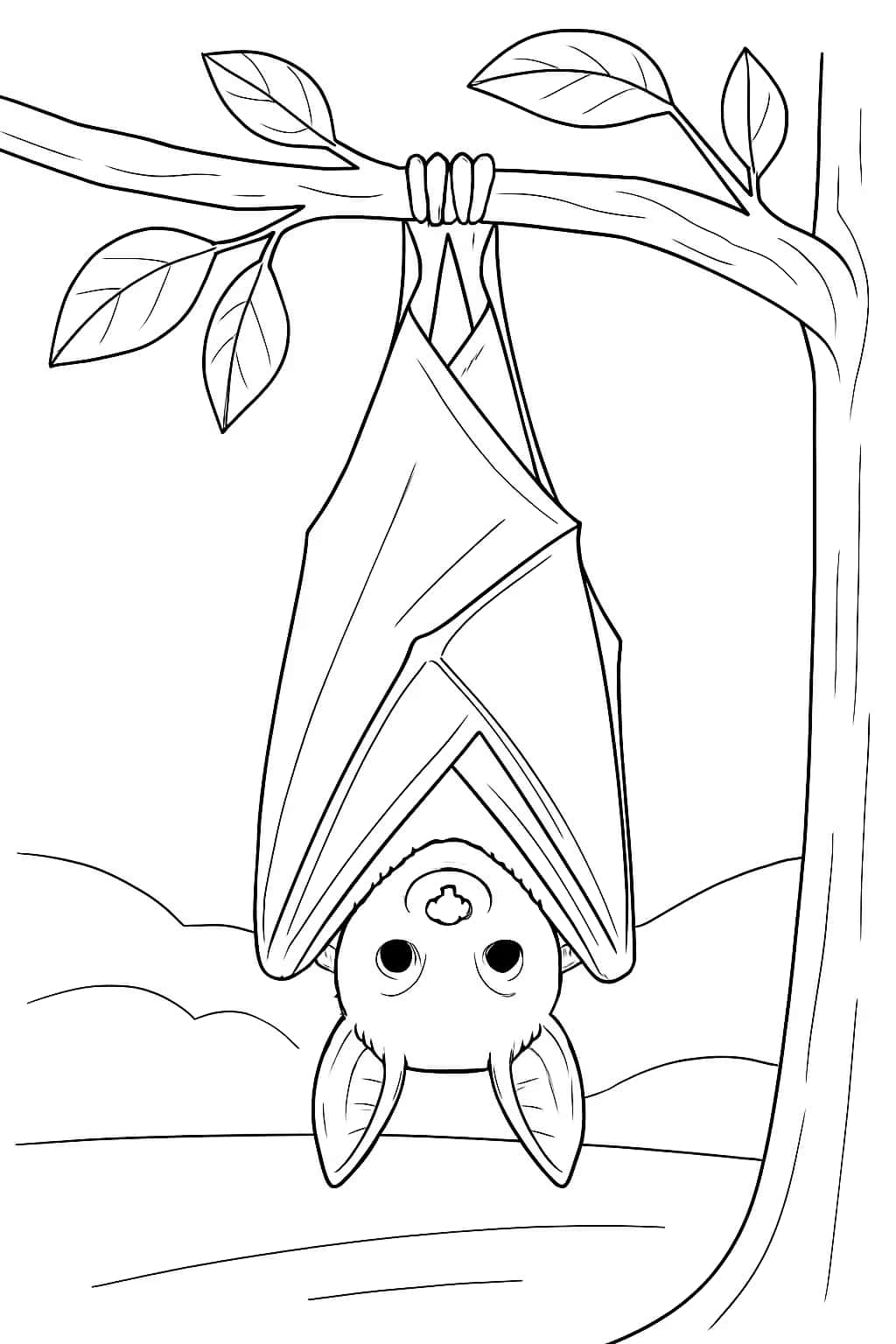 Páginas para colorear de murciélagos - Murciélago colgado boca abajo