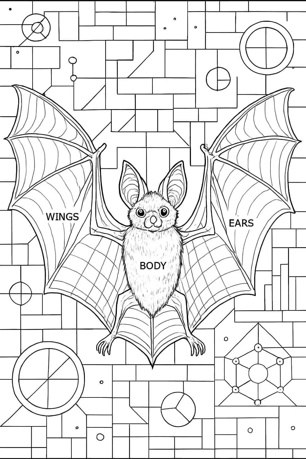 Páginas para colorear de murciélagos realistas
