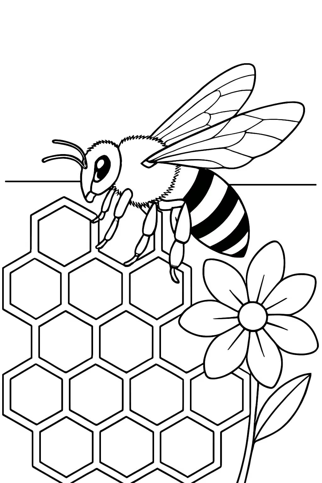 蜜蜂涂色頁|蜂巢主題兒童繪畫打印頁