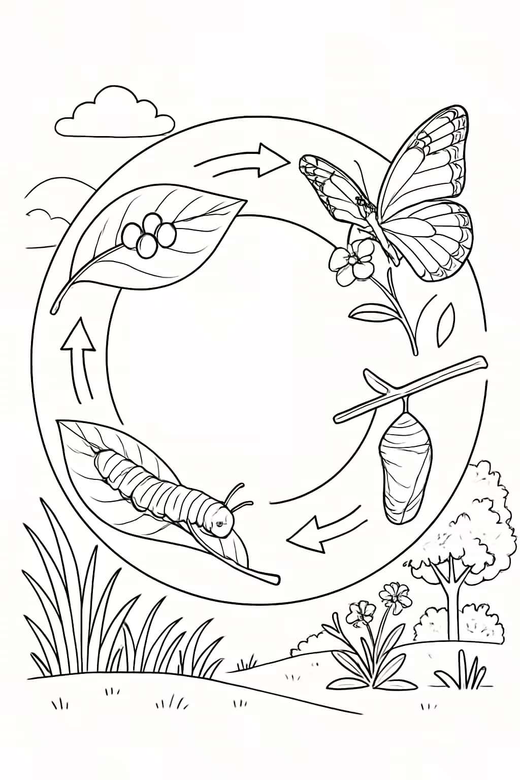 Caterpillar Coloring Pages - Life Cycle Diagram Printable