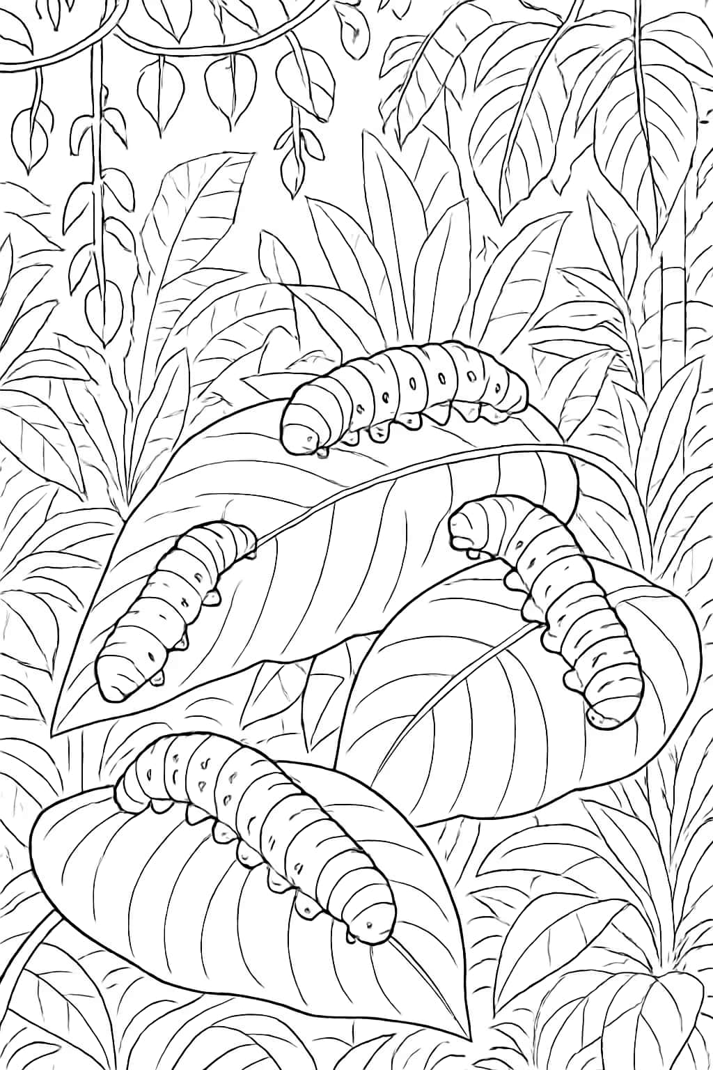 Caterpillar Coloring Pages - Rainforest Caterpillar Scene