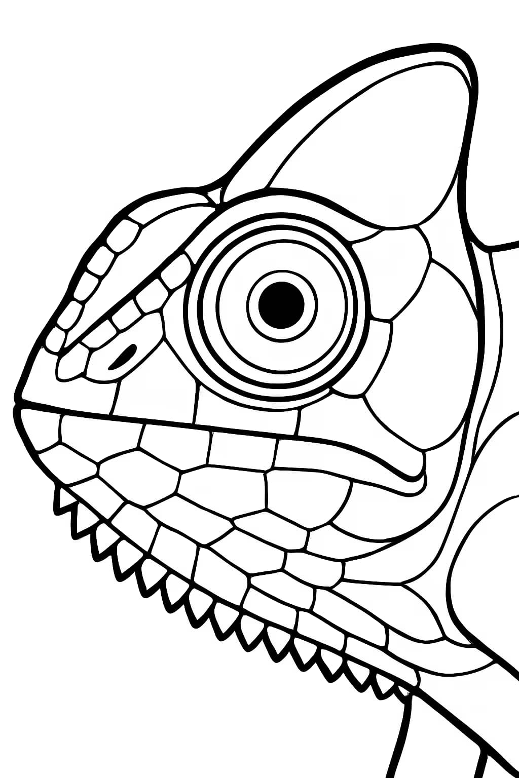 Pagine da colorare camaleonte – Primo piano del viso