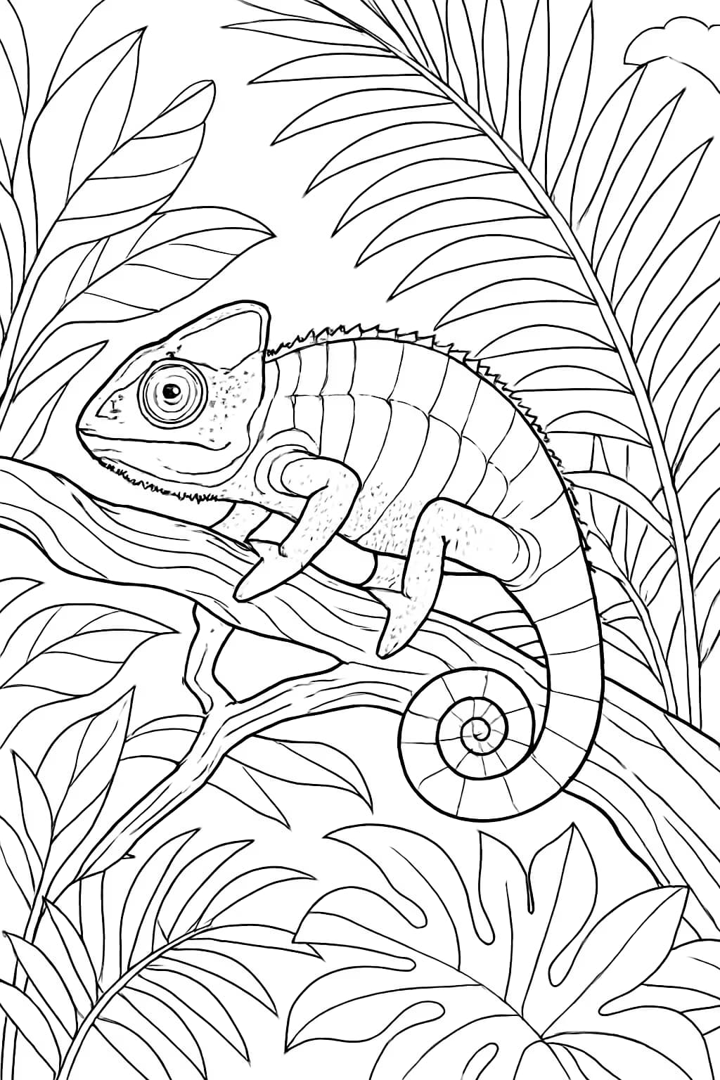 Pagine da colorare camaleonte