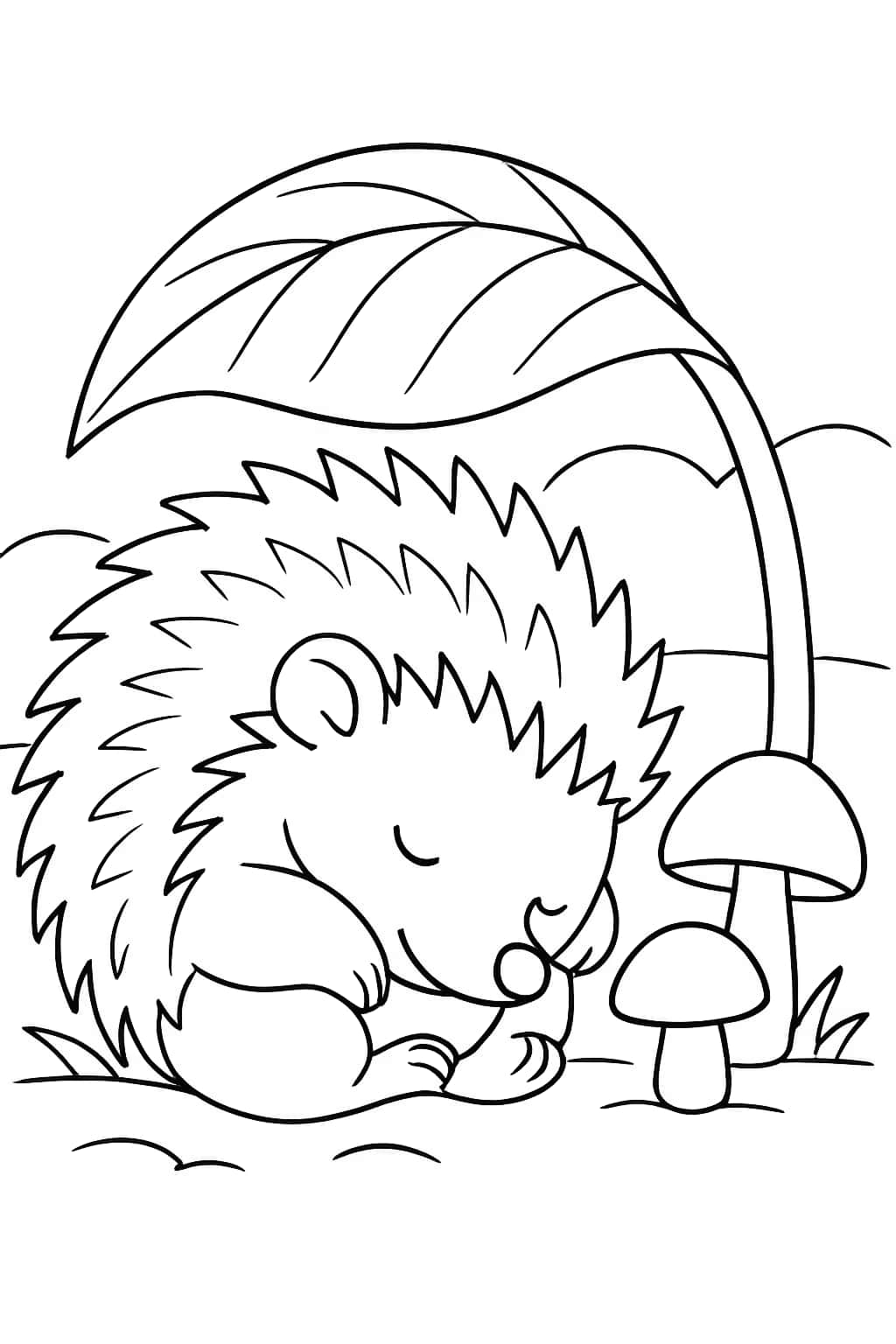 刺蝟涂色頁|睡在樹葉下的刺蝟可打印頁