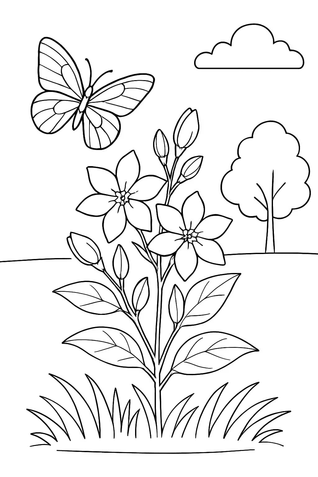 Jasmine Coloring Pages – Jasmine and Butterfly Coloring Page for Kids