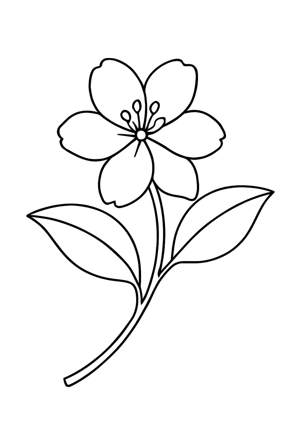 Jasmine Coloring Pages - Jasmine Bloom on Branch for Toddlers