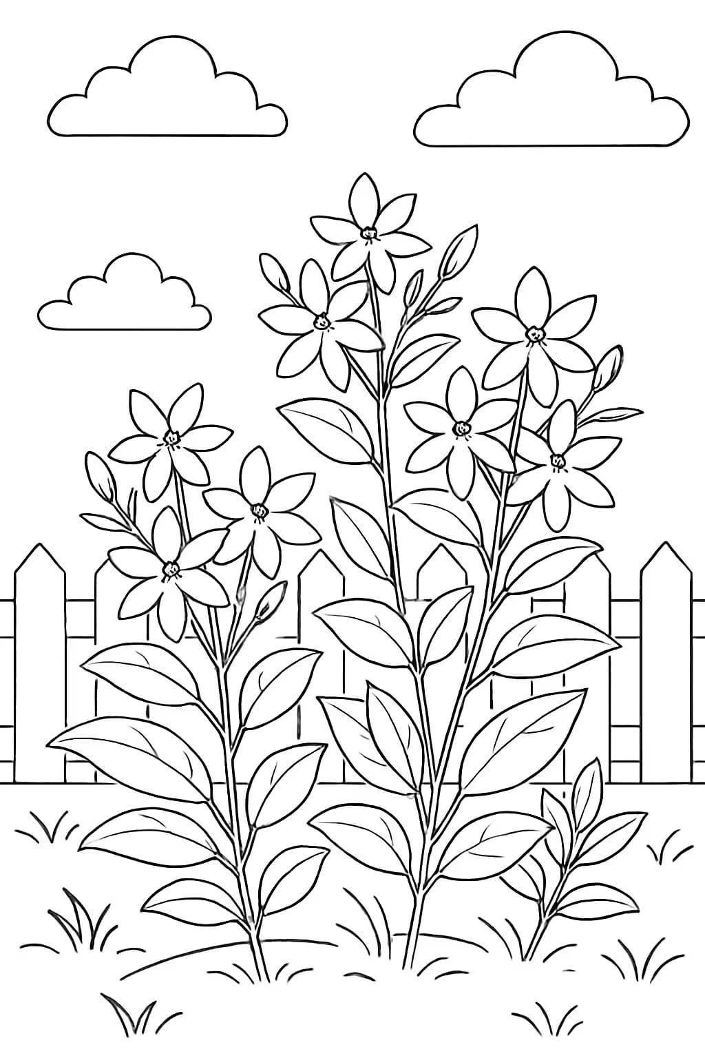 Jasmine Coloring Pages – Beautiful Jasmine Garden Scene Printable