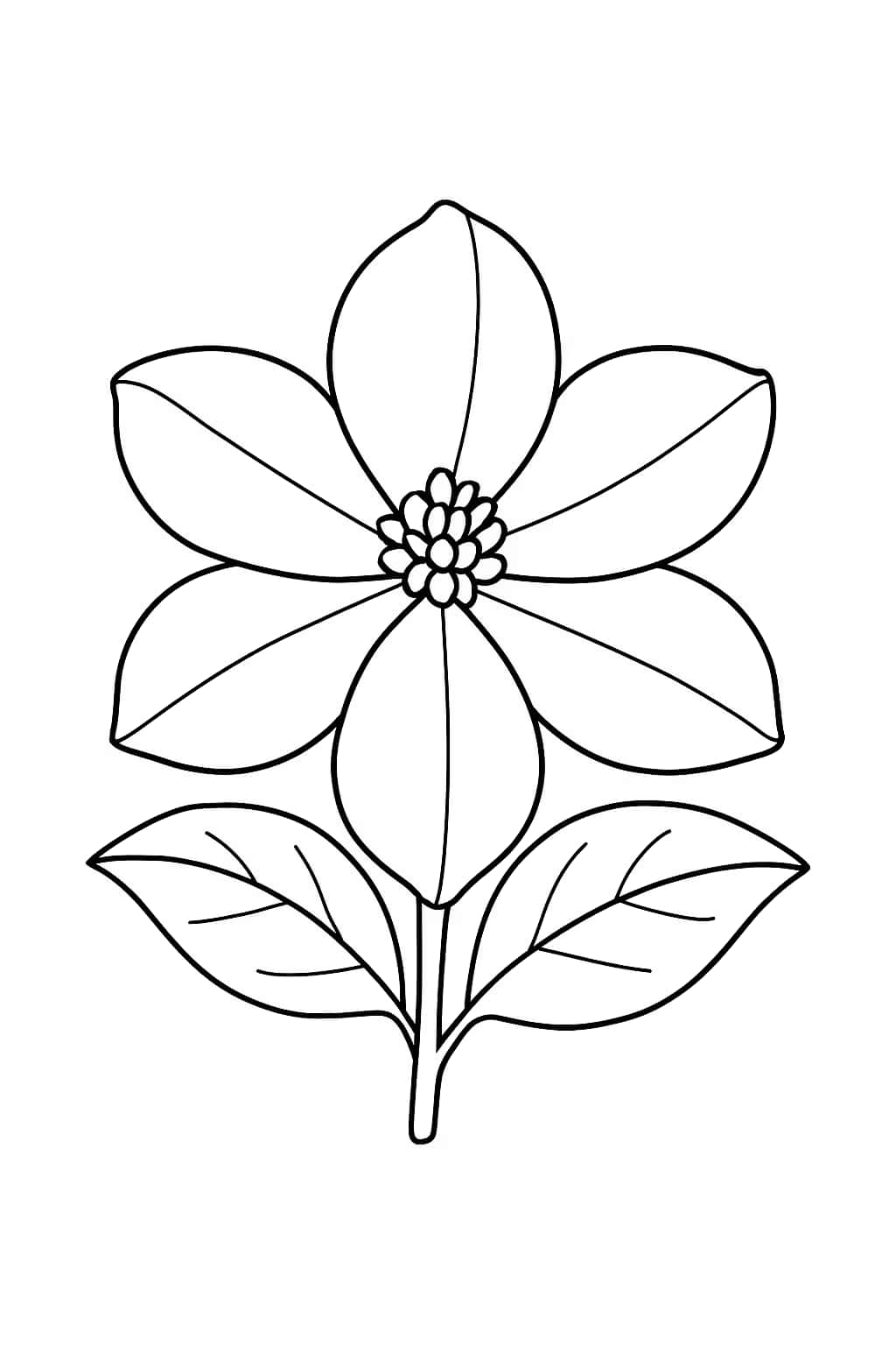 Jasmine Coloring Pages - Simple Flower Coloring for Toddlers