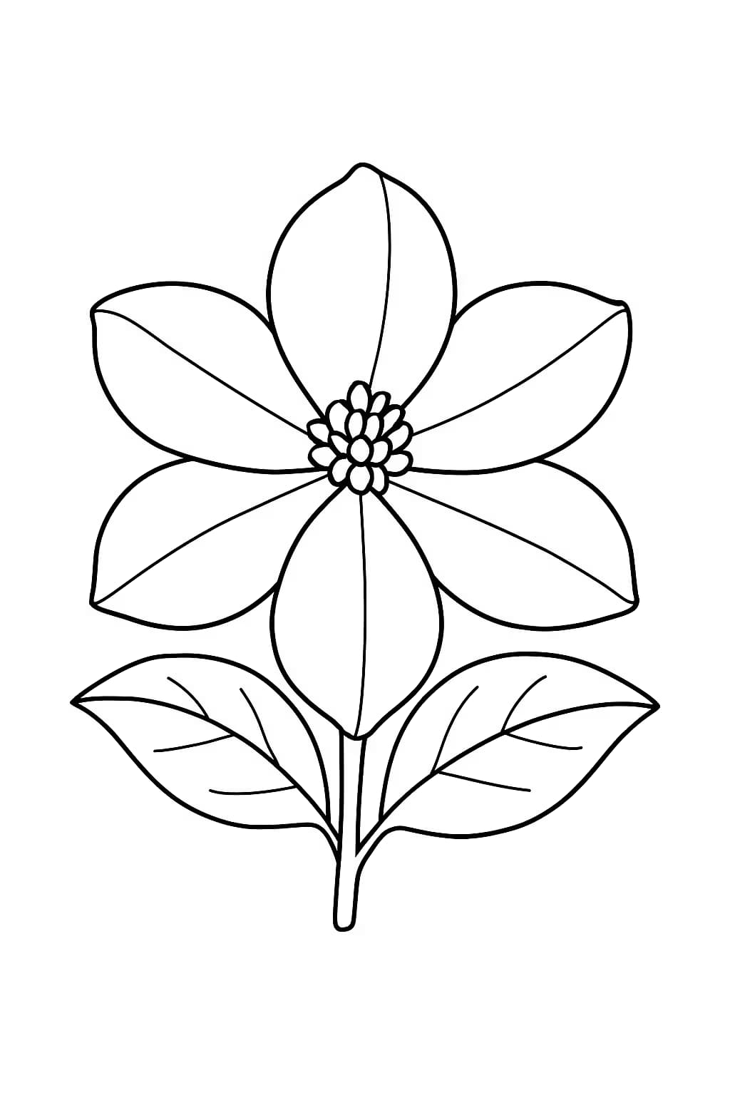 Jasmine Coloring Pages – Simple Flower Coloring for Toddlers