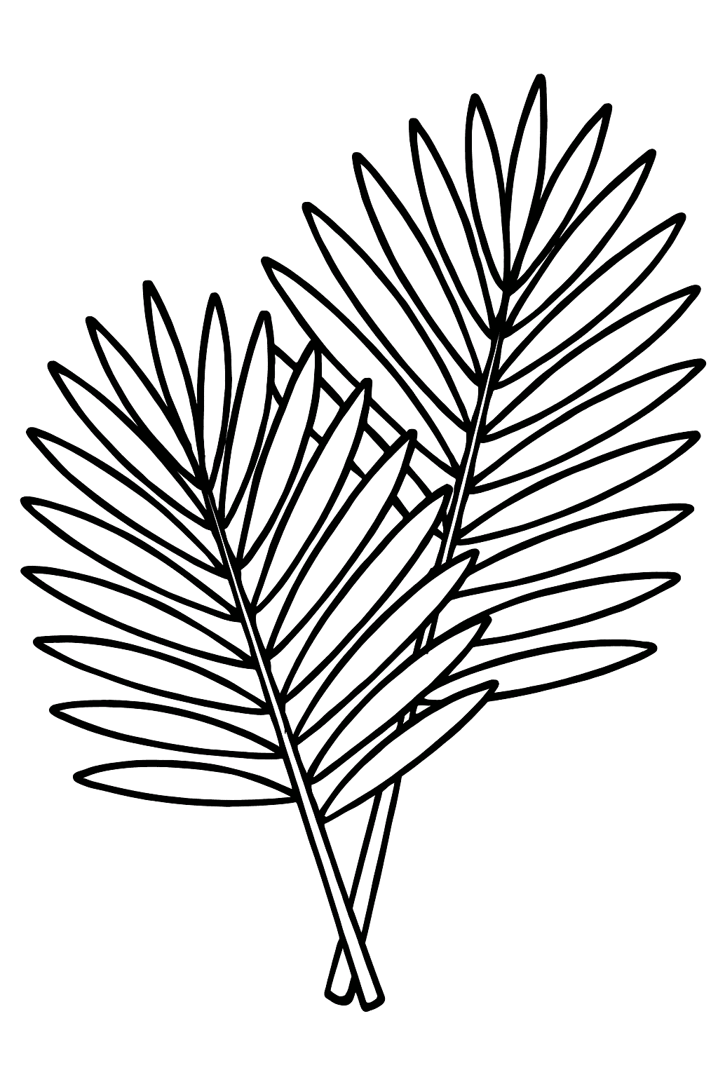 Palm Leaf Coloring Pages - Two Overlapping Palm Leaves
