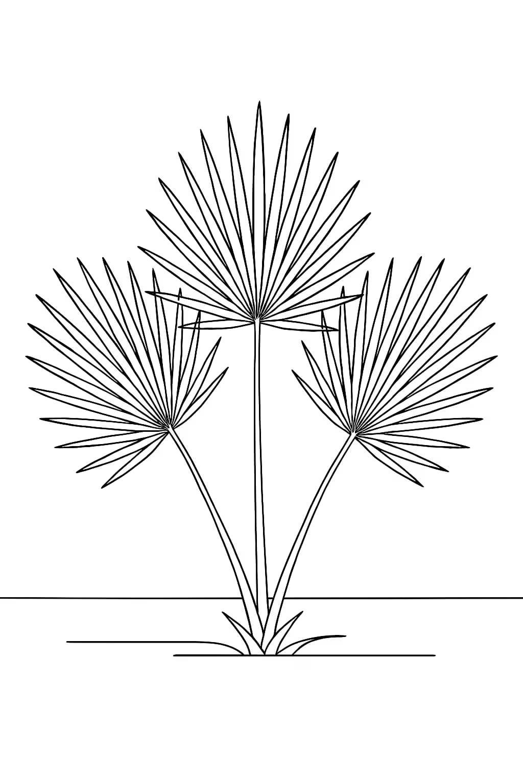 Palm Leaf Coloring Pages - Fan Arrangement Printable for Teens