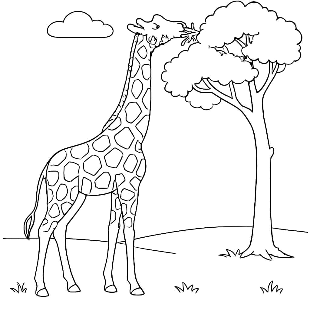 Páginas para colorear de jirafas