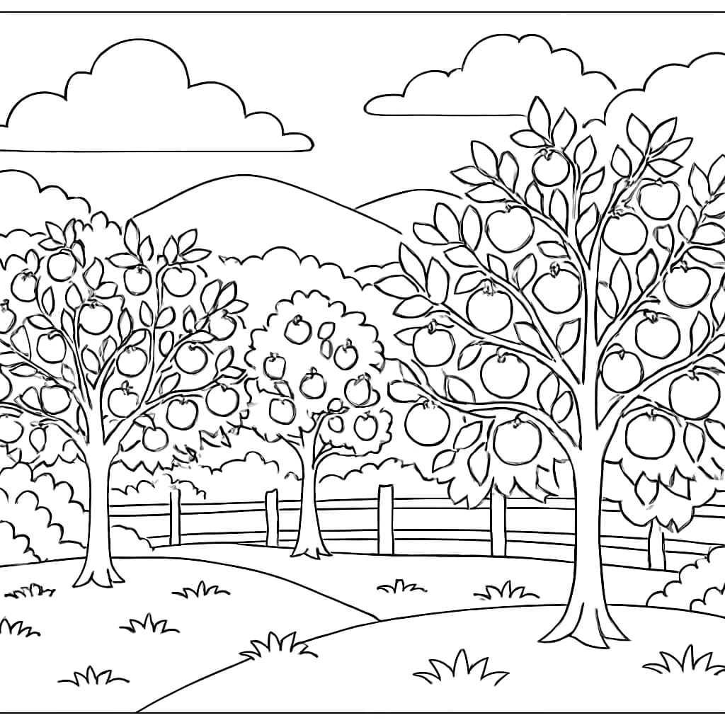 Página de Colorir Pomar de Maçãs