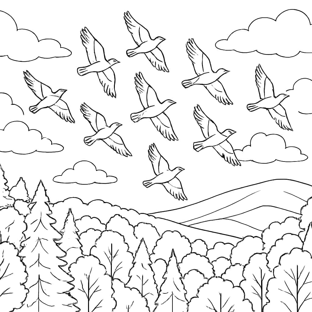 大自然涂色頁|鳥群飛翔主題線稿打印頁