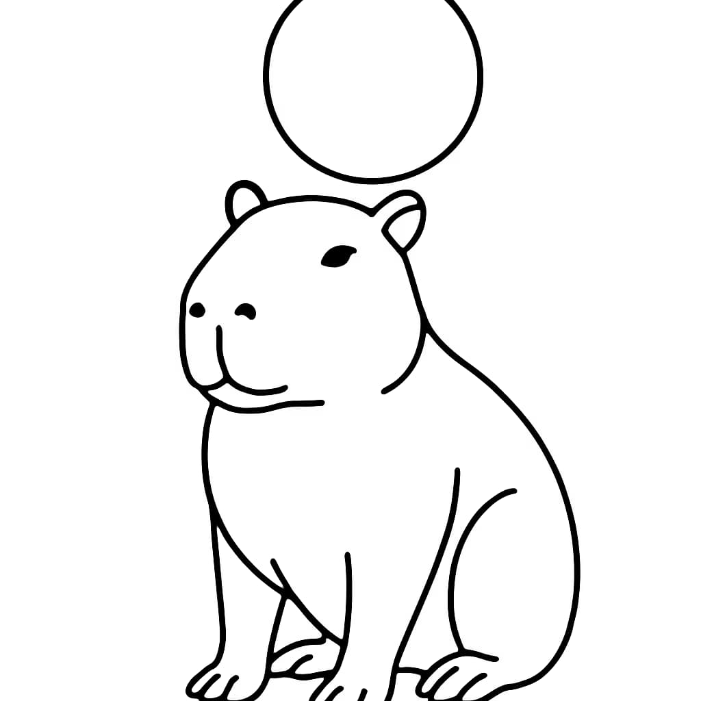 Capybara Coloring Pages – Capybara Under the Sun for Toddlers