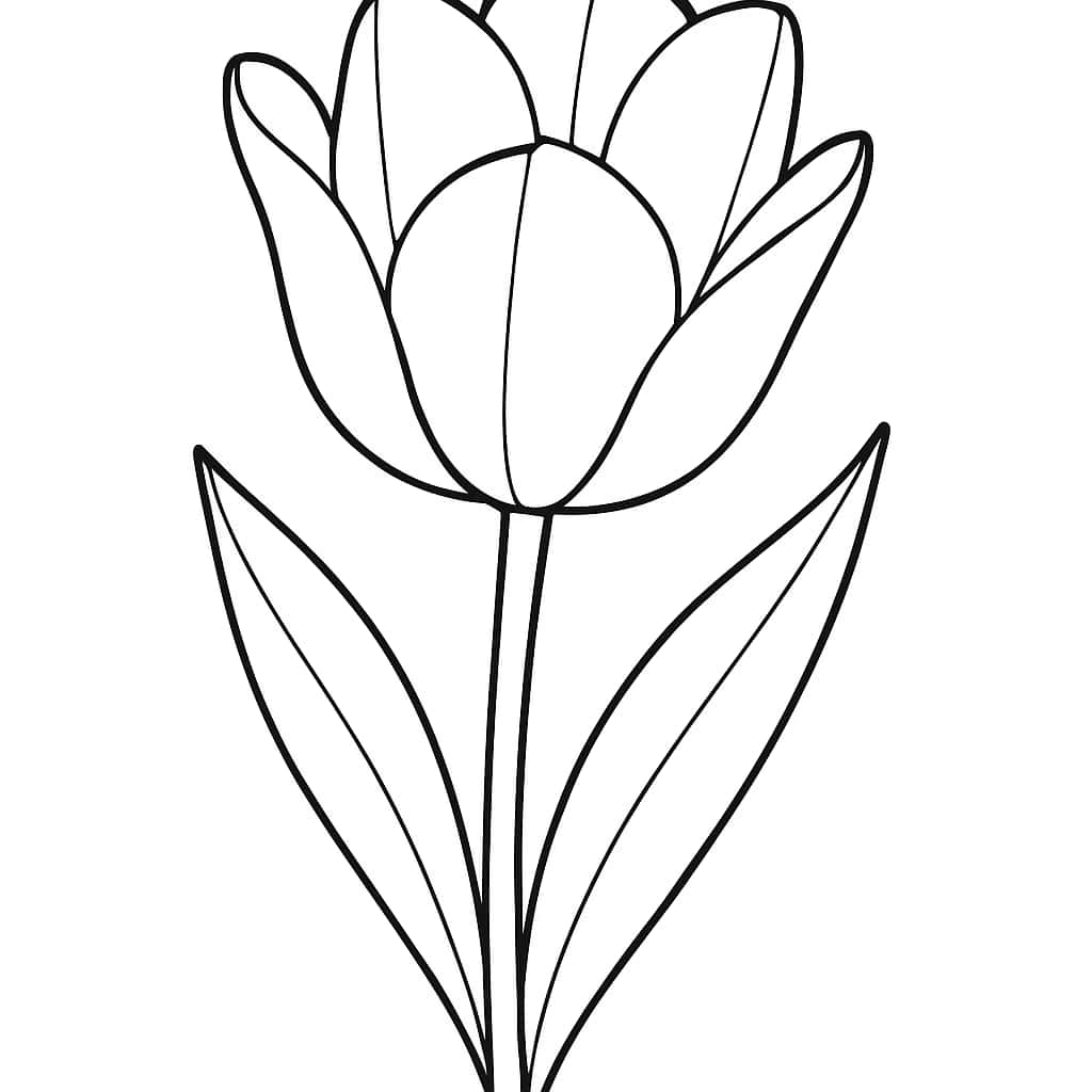 花卉涂色页 - 简单郁金香特写适合幼儿