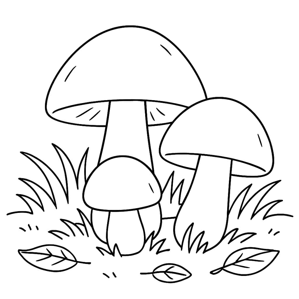 Pages de coloriage de champignons - Famille de champignons pour enfants