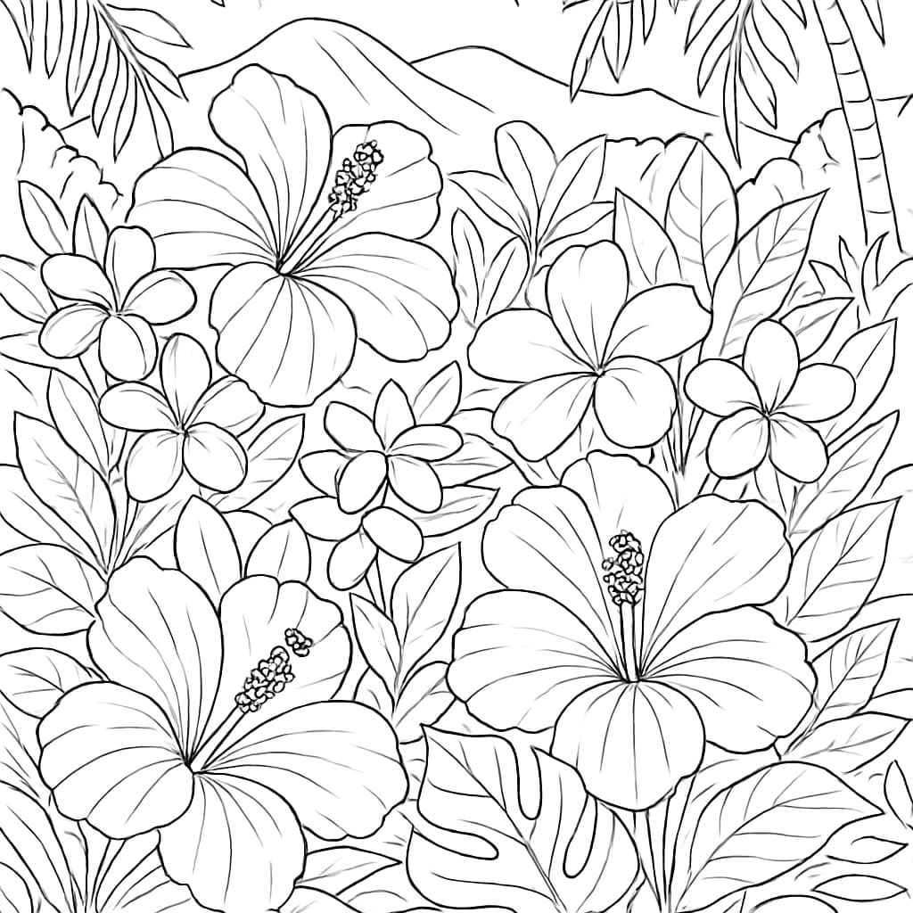 Hawaii 涂色页|夏威夷花園線稿涂色圖