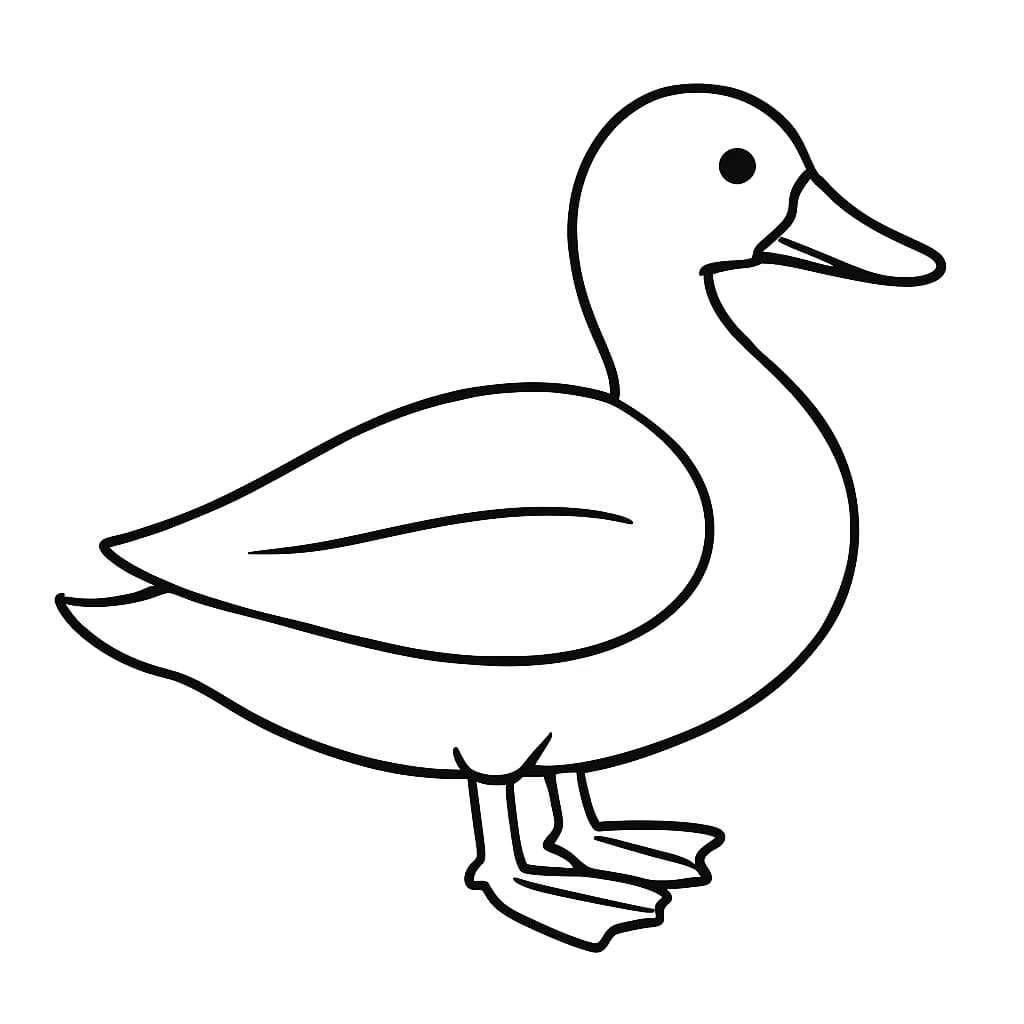 Duck Coloring Pages – Simple Duck Outline for Toddlers