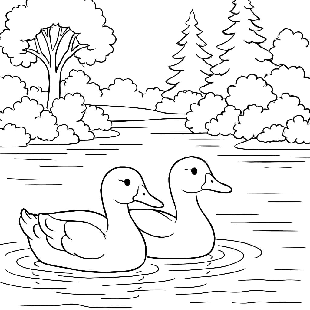 Duck Coloring Pages – Ducks Swimming in Lake Forest