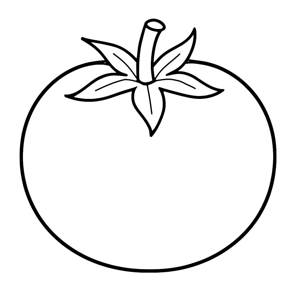 채소 색칠 공부 페이지 | 토마토 기초 도안