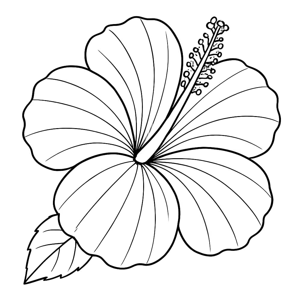 夏威夷涂色页 | 简单夏威夷花朵适合幼儿