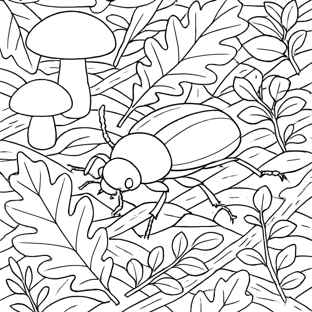 Bug Coloring Pages - Beetle on Forest Floor