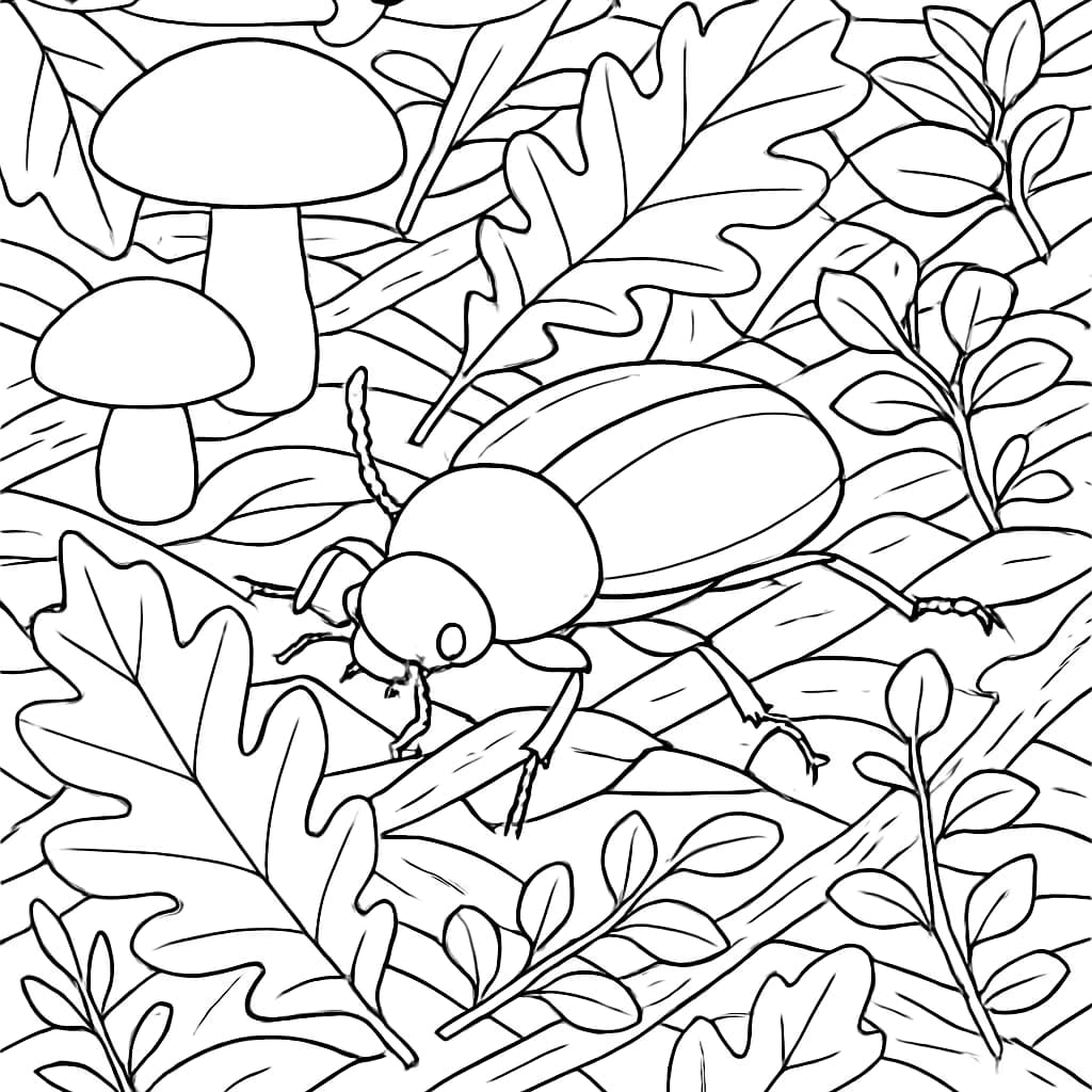 Bug Coloring Pages – Beetle on Forest Floor