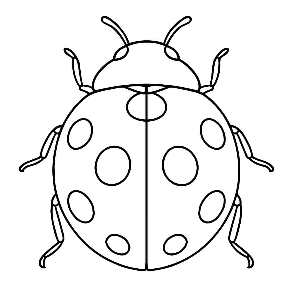Bug Coloring Pages - Cute Ladybug Coloring Page for Toddlers