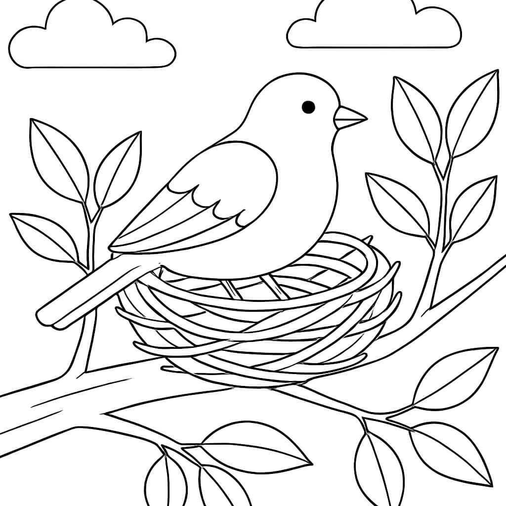 March Coloring Pages – Bird Nest in Tree Printable for Teens