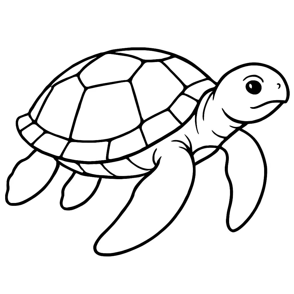 Hawaii 涂色頁|夏威夷海龜簡易兒童線稿打印