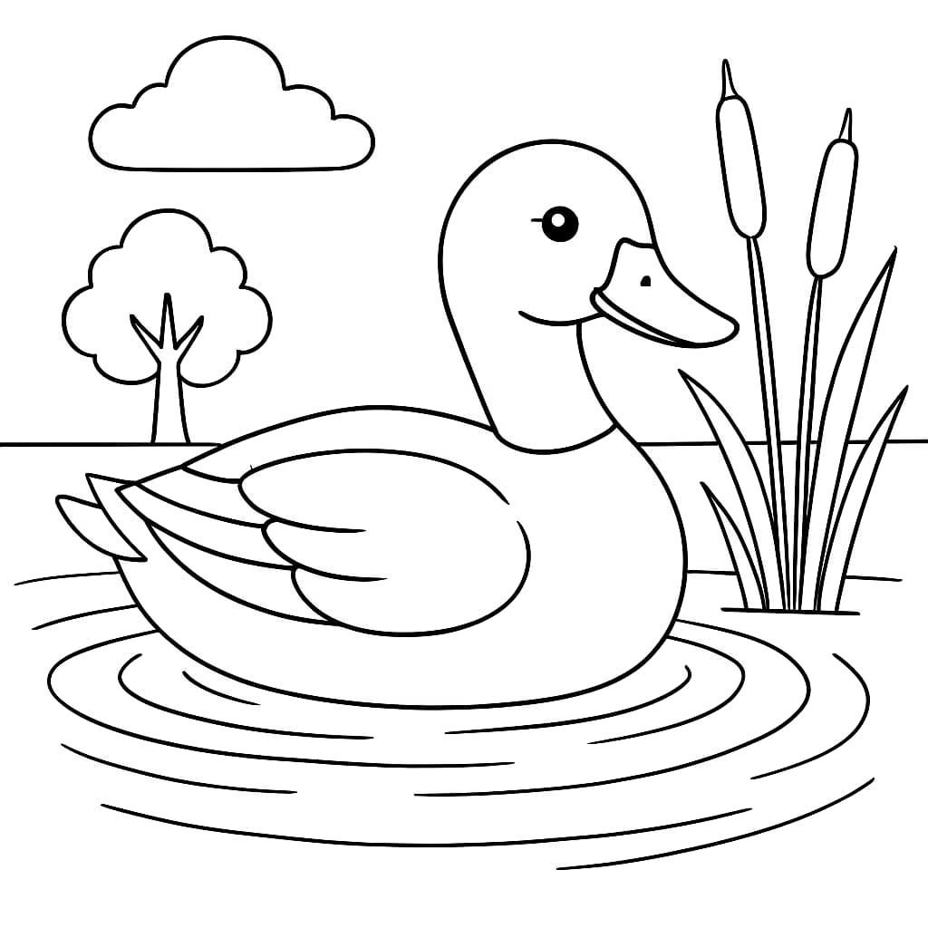 Duck Coloring Pages – Duck Floating on Pond