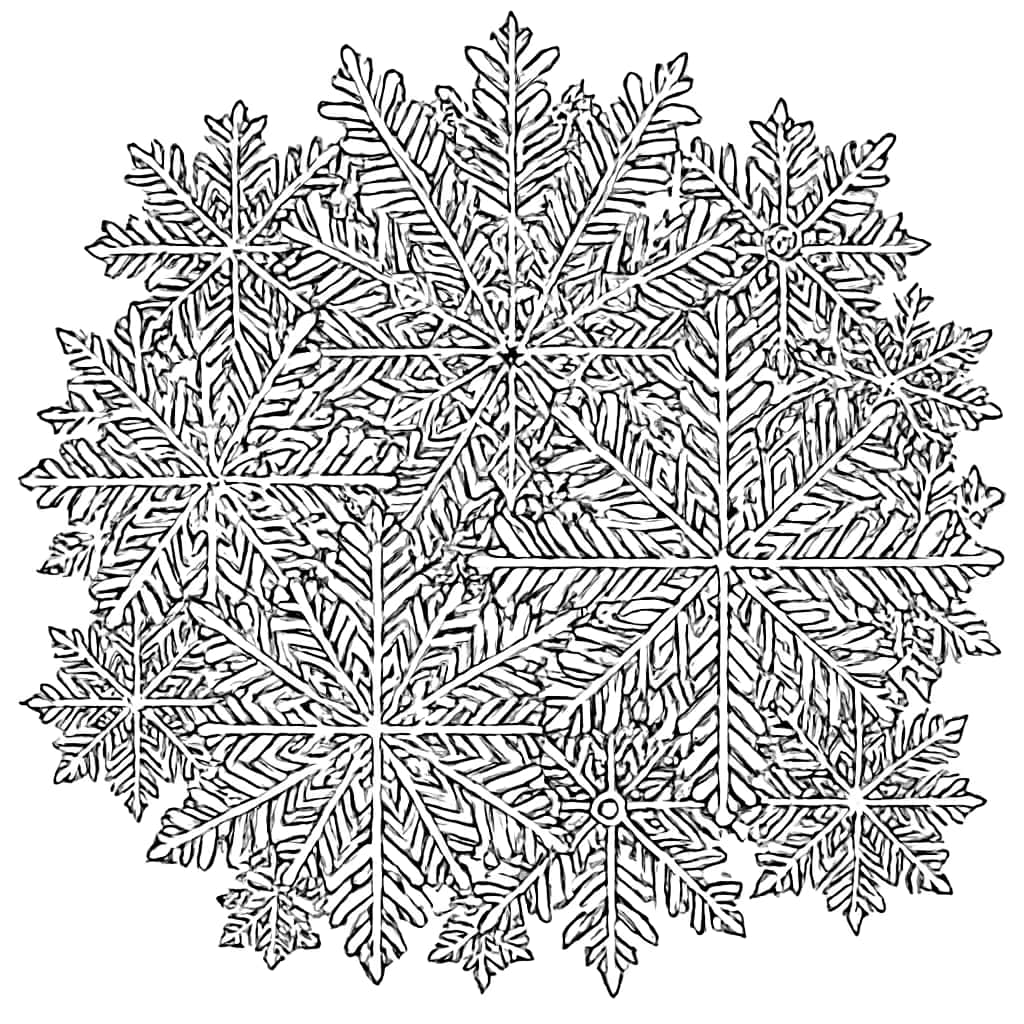 Pages de coloriage d'hiver : Mandala Flocon de Neige Complexe